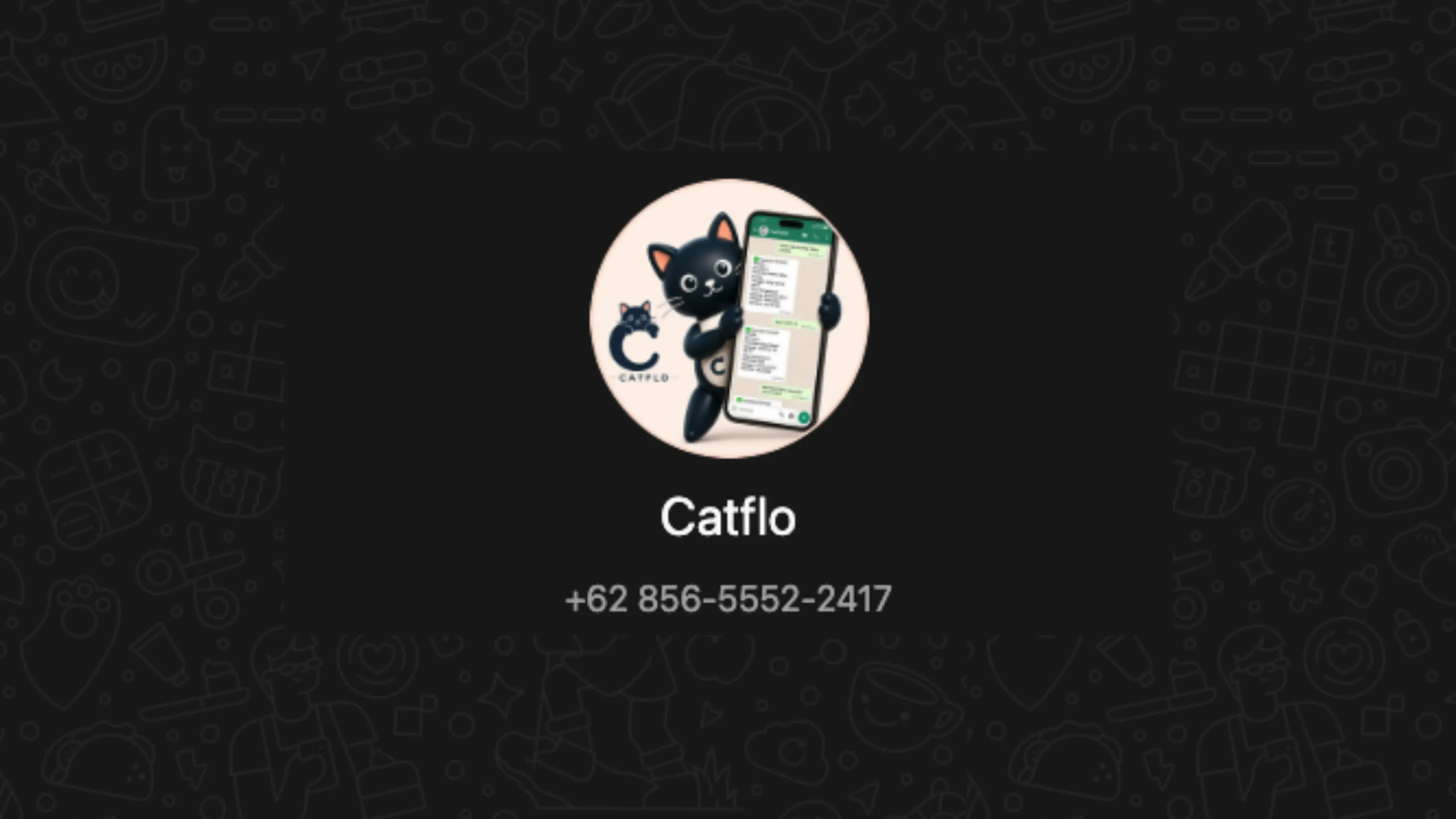 Placeholder gambar untuk Setelah dapat token, kirim /start [token] ke nomer WhatsApp Catflo.